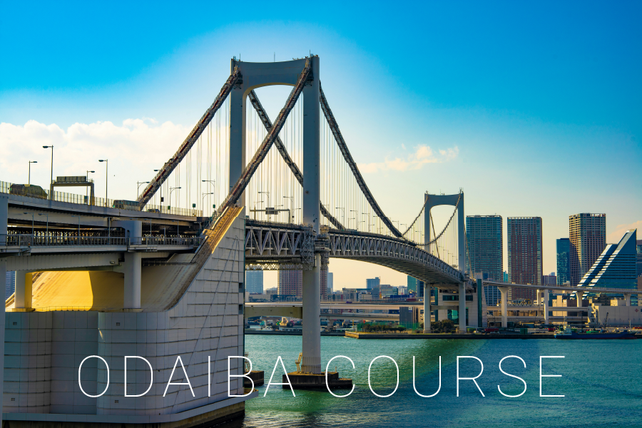 ODAIBA COURSE