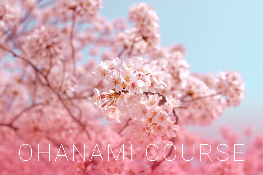 OHANAMI COURSE