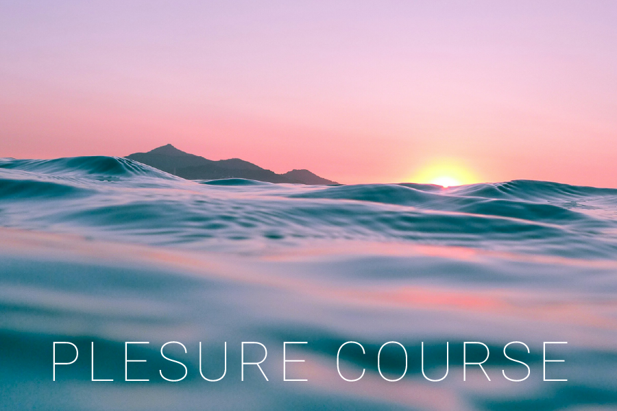 PLESURE COURSE